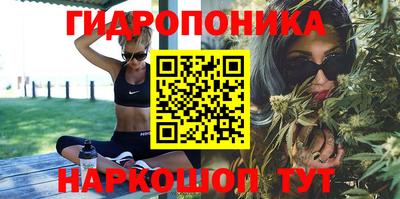 твердый Славгород