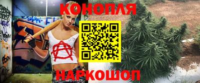твердый Славгород