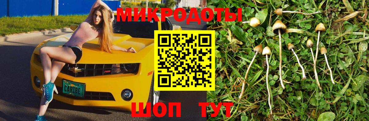 Балашиха  Псилоцибиновые грибы ЛСД  Псилоцибиновые грибы мицелий  Вход с VPN 